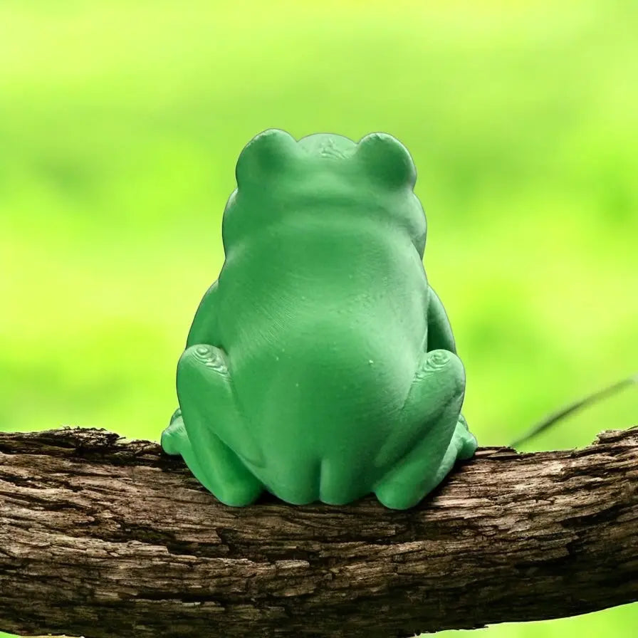 3D Printed Frog Siegel Prints