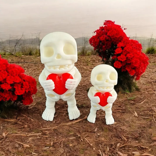 3D Printed Heart Skeleton (Two Sizes) Siegel Prints